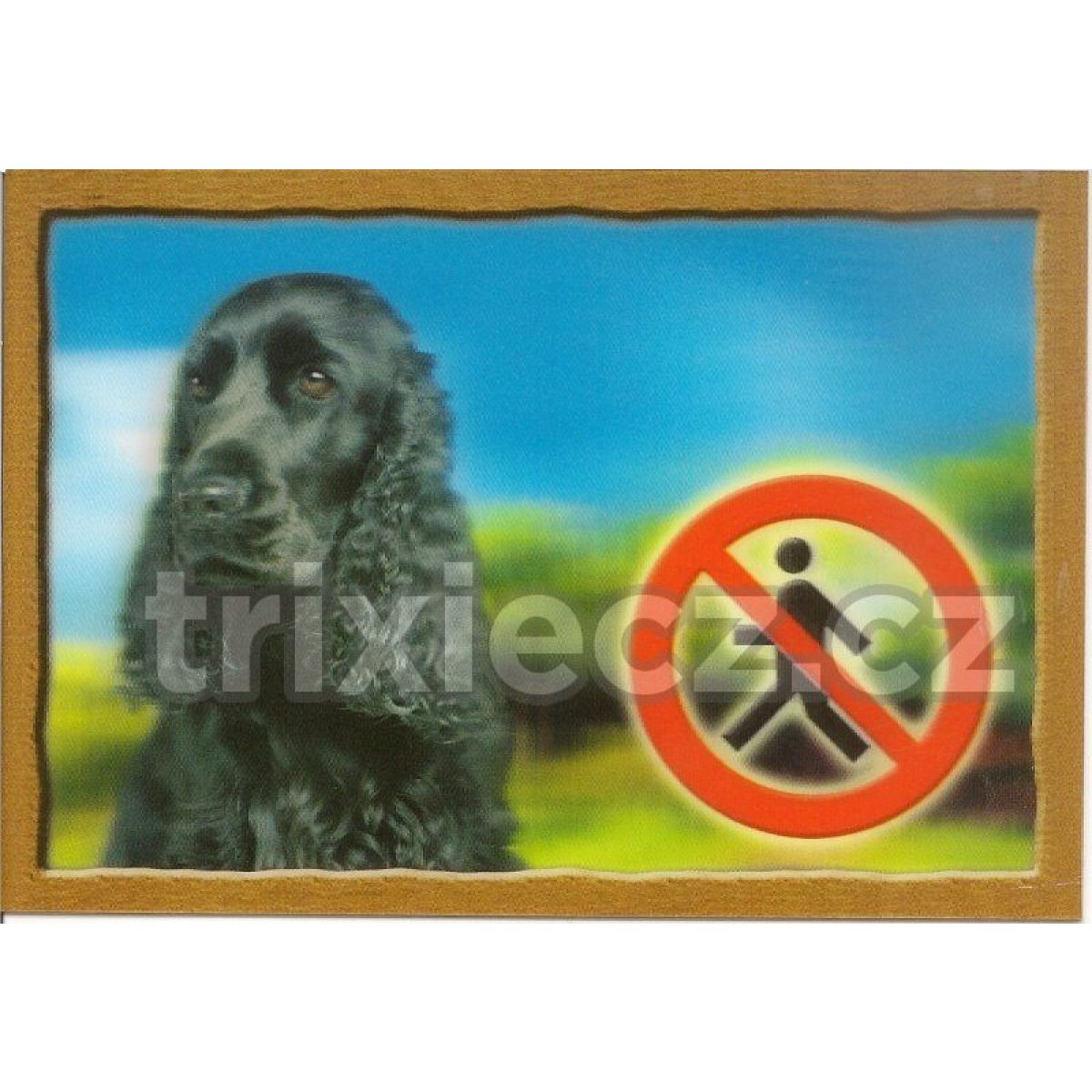 3D výstražná plastová tabuľka - anglický kokeršpaniel čierny – Obrázok 1