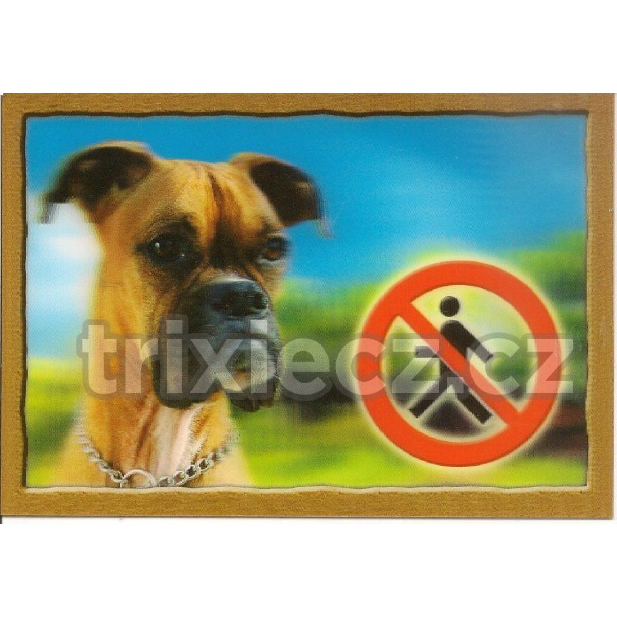 3D výstražná plastová tabuľka - boxer – Obrázok 1