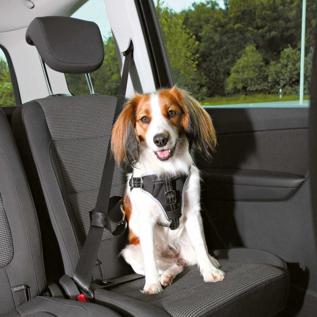 Postroj do auta Dog Protect M 50-65 cm / 20 mm – Obrázok 1