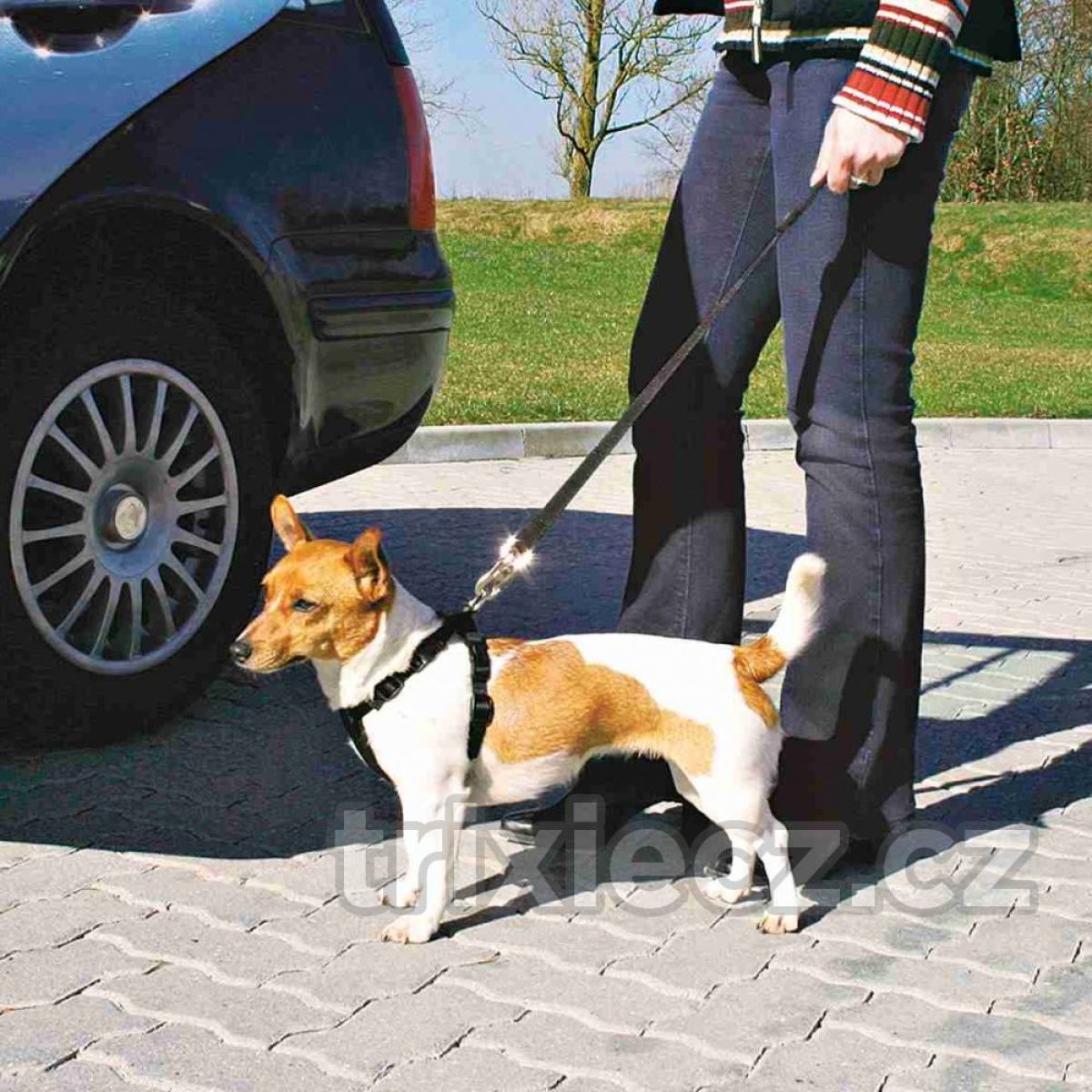 Bezpečnostný postroj do auta , XS – Obrázok 3