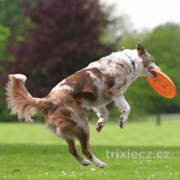 Plastový lietajúci tanier/disk 23 cm – Obrázok 3