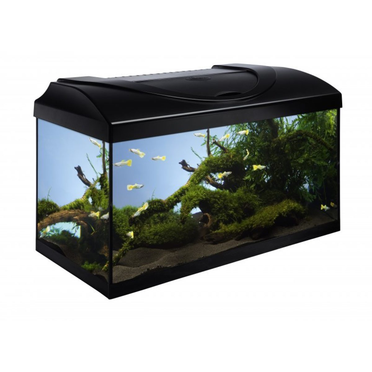Akvarijný set 60 l- 60 x 30 x 30 cm – Obrázok 1