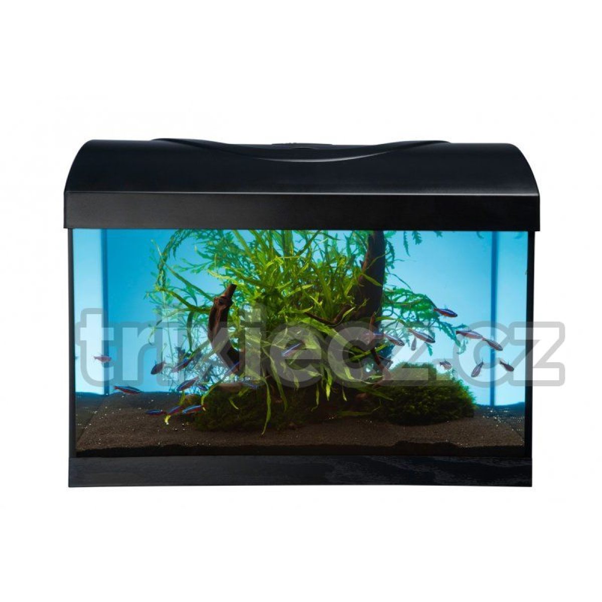Akvarijný set 40 l - 40 x 25 x 25 cm - rovný – Obrázok 3