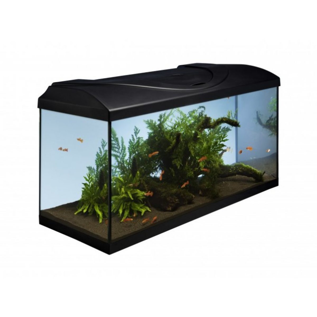Akvarijný set 80 l - 80 x 35 x 40 cm – Obrázok 1