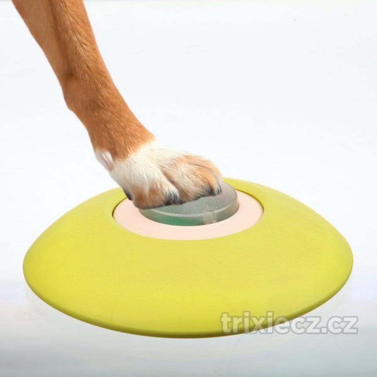 Hračka Dog activity - MEMORY TRAINER 20x24 cm – Obrázok 2
