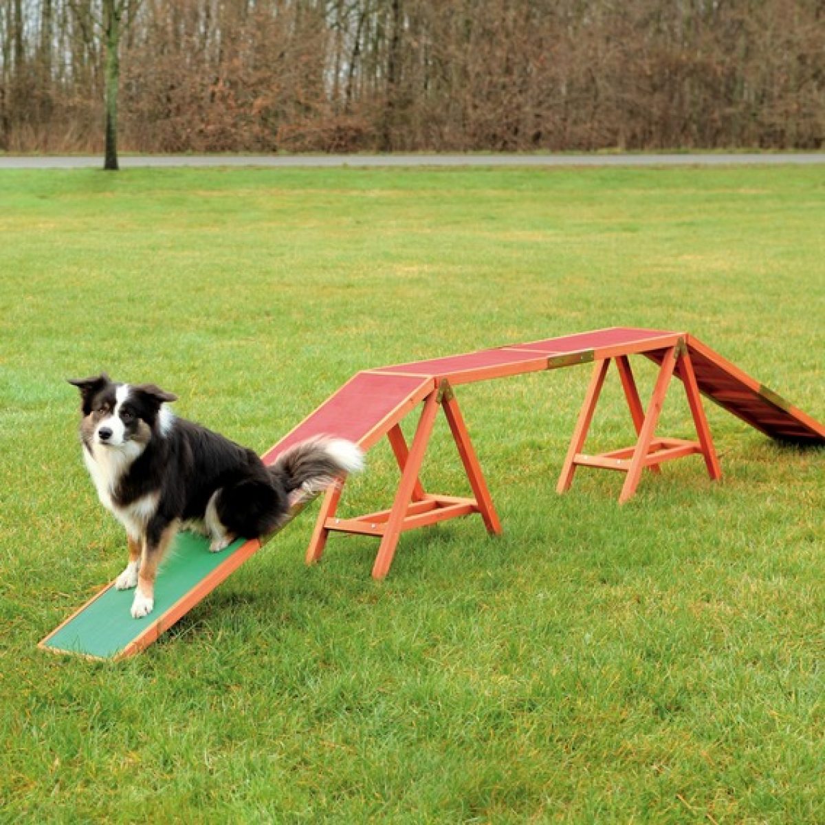 Mostík pre psov 456 x 64 x 30 cm – Obrázok 1