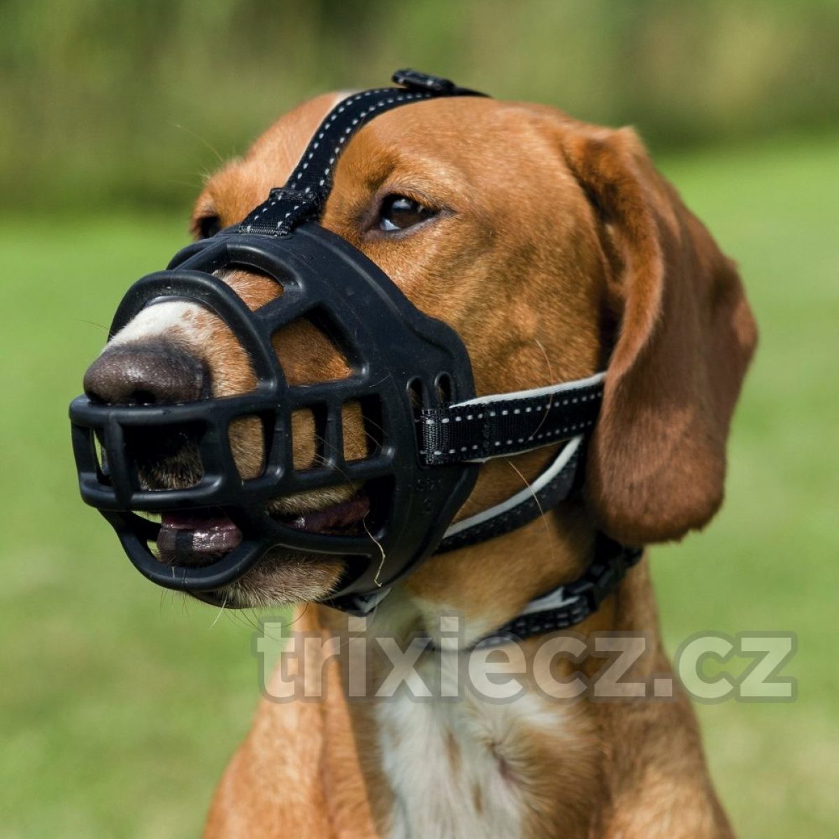 Silikónový náhubok FLEX M 24 cm – Obrázok 2