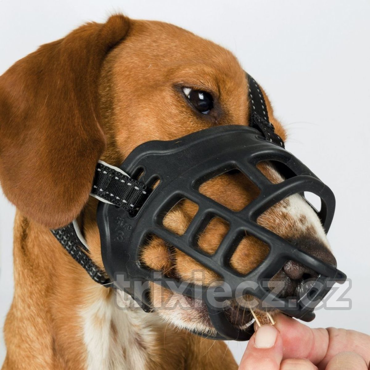 Silikónový náhubok FLEX M 24 cm – Obrázok 4