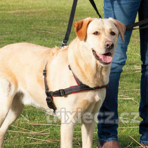 Lead'n'Walk Soft tréningový postroj, S - M – Obrázok 3