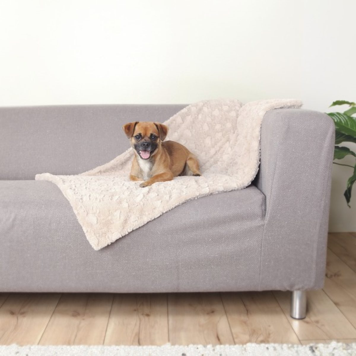 Elegantná plyšová deka 100 x 70 cm – Obrázok 1
