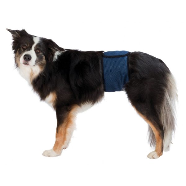 Brušný pás pre psa samca, S-M, 37-45cm