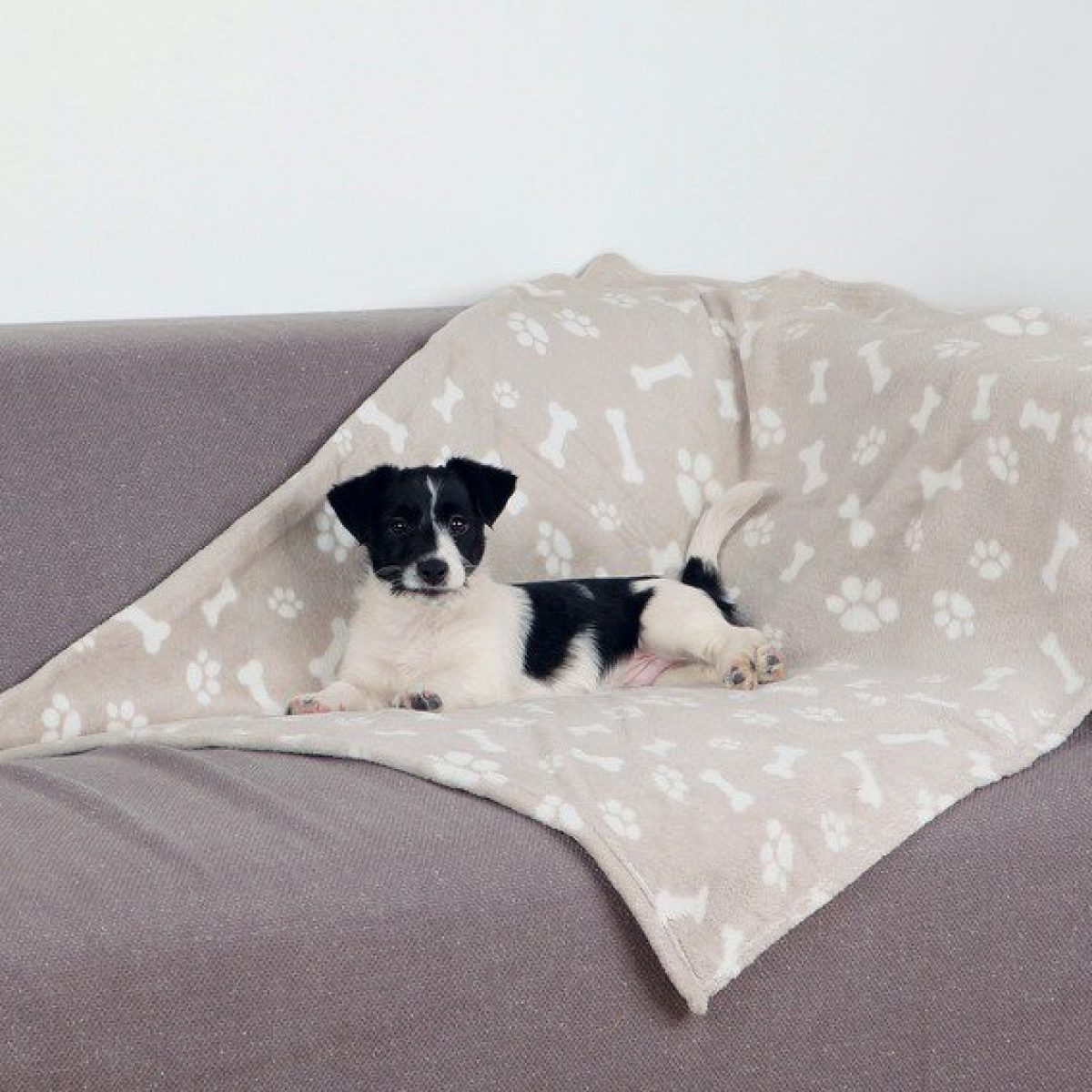 Plyšová deka s kostičkami a labkami 75 x 100 cm – Obrázok 1