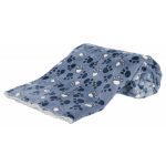Deka s packami 100 x 70 cm