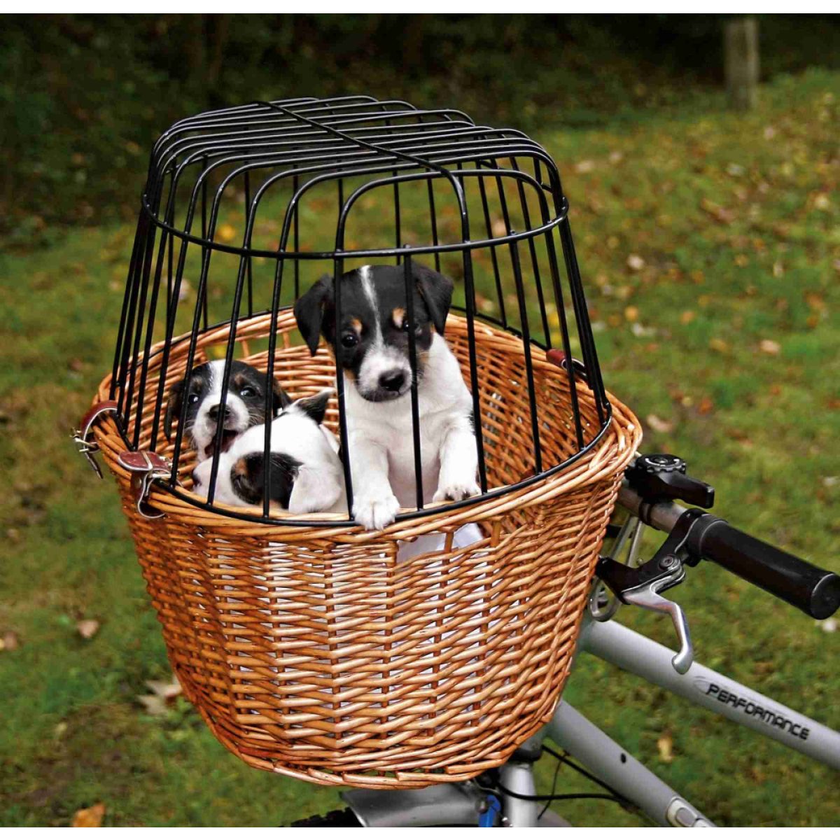 Kôš na bicykel s kovovou kabínou 44 x 48 x 33 cm – Obrázok 1