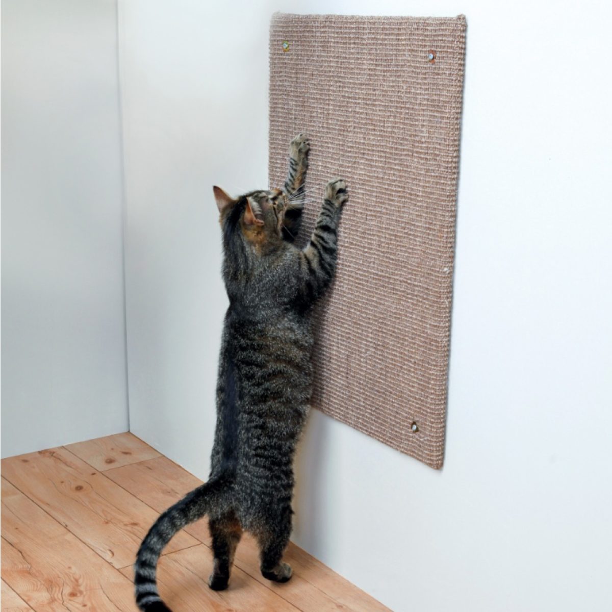 Škrabacia doska XL 50 x 70 cm – Obrázok 1