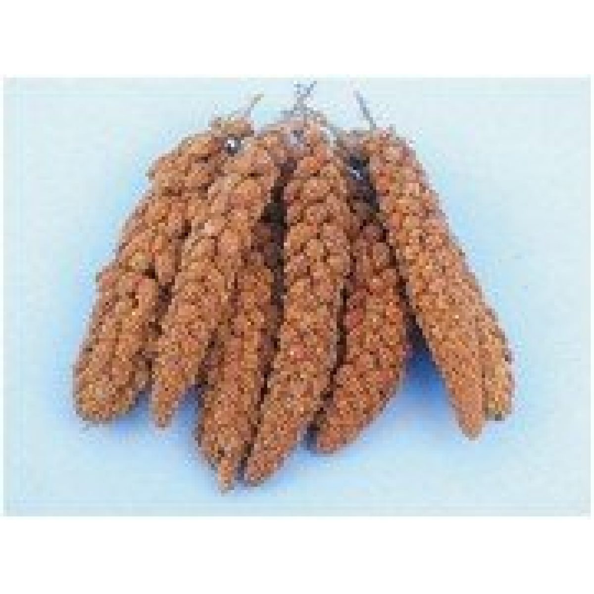 Avicentra - Senegalské proso v klasoch, 100 g – Obrázok 1