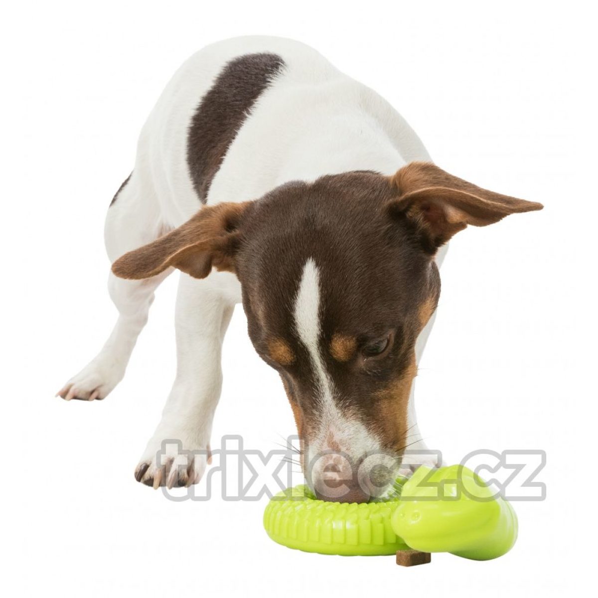 Snack Snake - had na maškrty 18cm – Obrázok 2