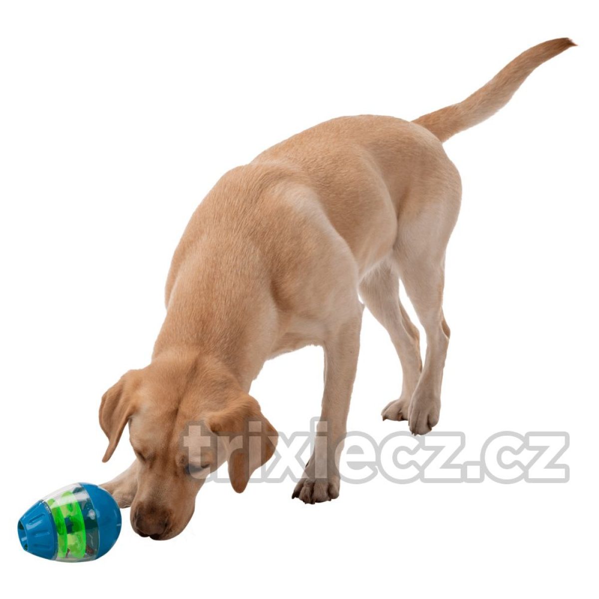 Roly poly Snack egg - vajce na maškrty 13cm – Obrázok 2