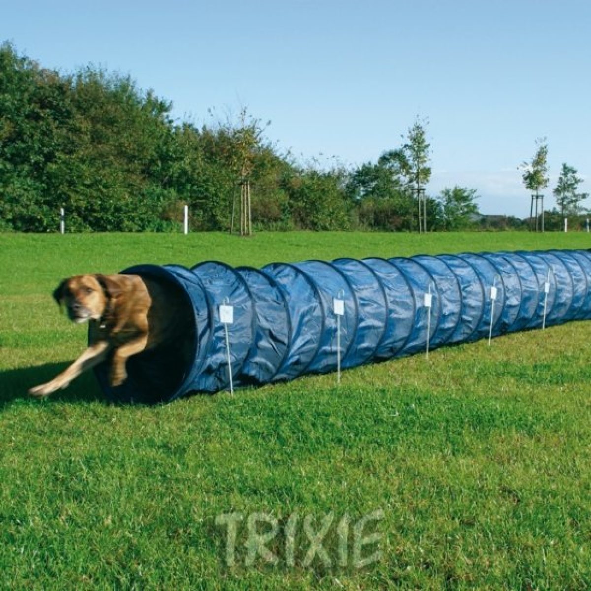 Tunel AGILITY 60 cm / 5 m – Obrázok 1