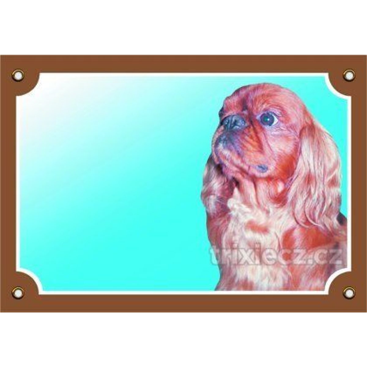 Výstražná plastová tabuľka - Cavalier King Charles – Obrázok 1