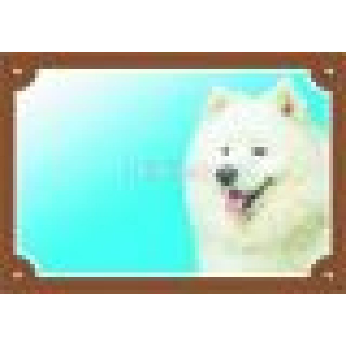 Výstražná plastová tabuľka - samojed – Obrázok 1
