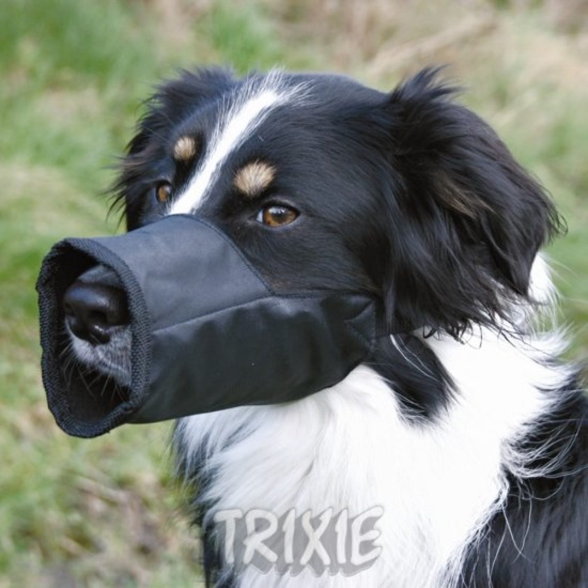 Náhubok pre psa, 15 cm – Obrázok 1
