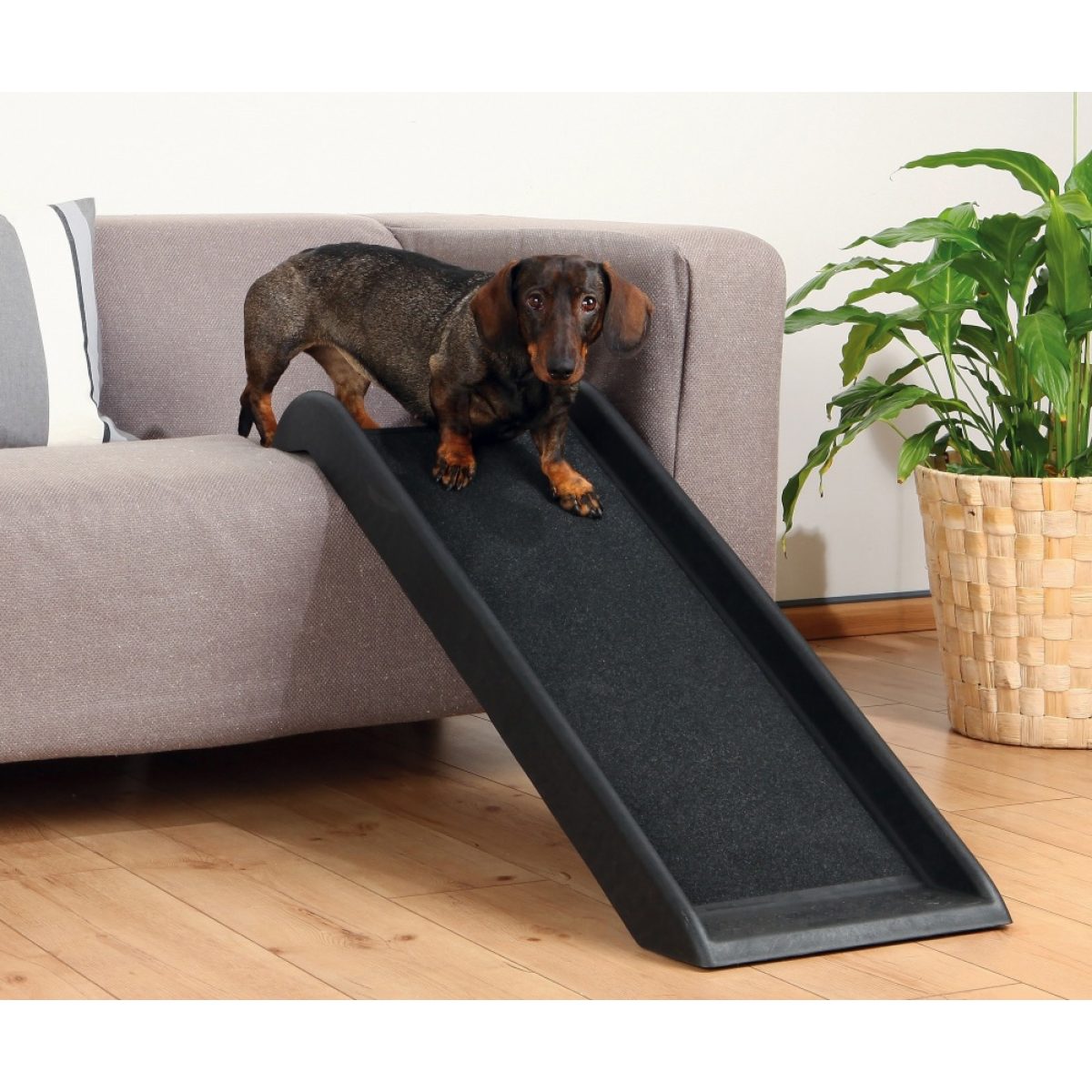 Rampa Petwalk 38 x 100 cm – Obrázok 1
