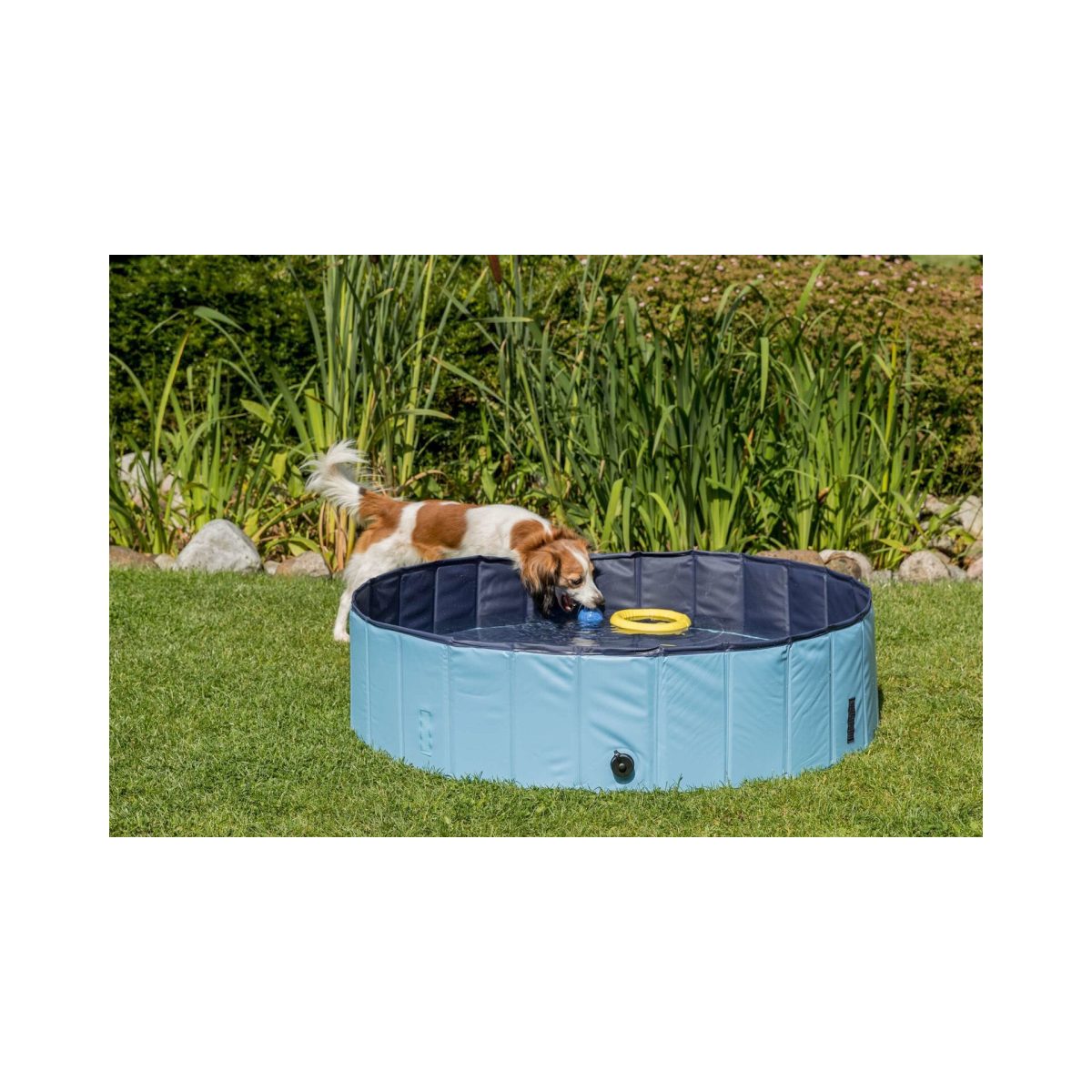 Bazén pre psov 70 x 12 cm – Obrázok 9